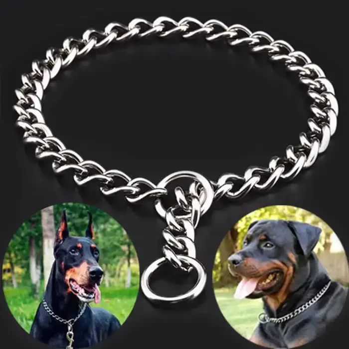 Collier chaîne serpent pour animaux de compagnie, collier d'étouffement pour chien en acier inoxydab