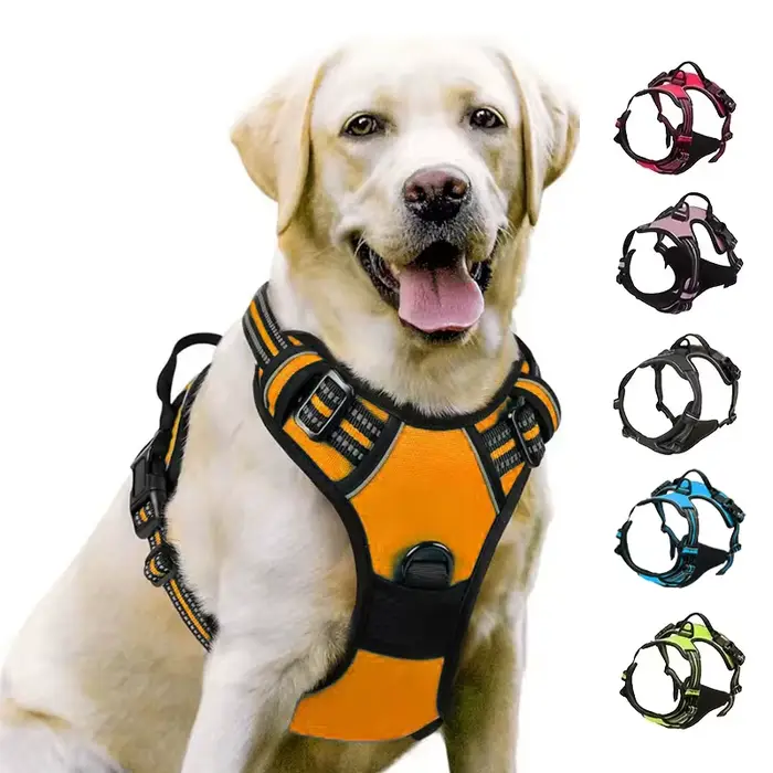 Harnais pour chien sans laisse