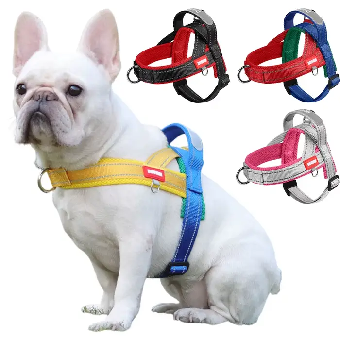 Harnais pour chiens, type selle, sangle de poitrine pour animaux de compagnie, pour petits, moyens e