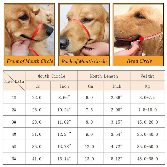 Muselière robuste et durable pour chiens de taille moyenne à grande