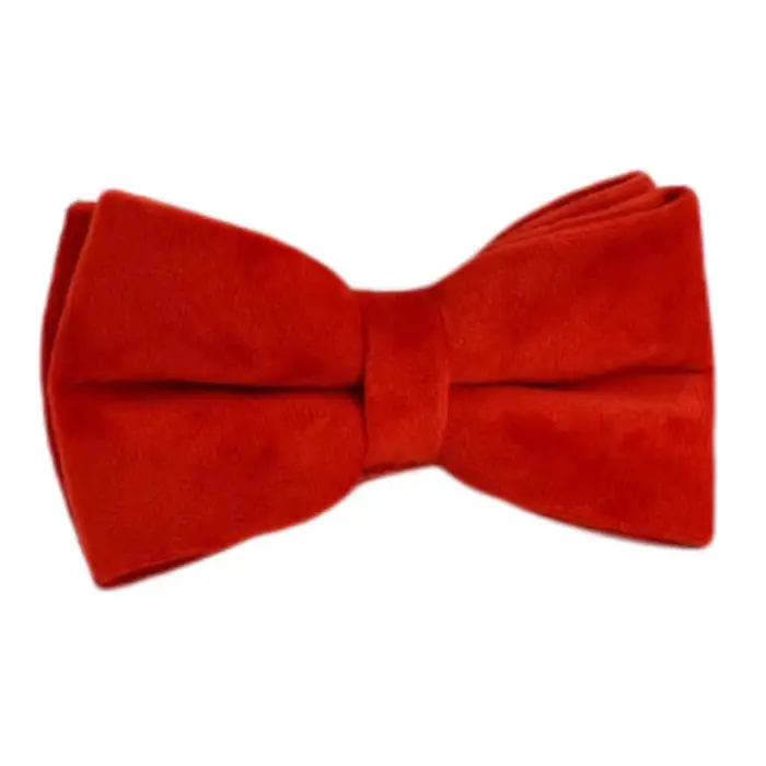Ensemble collier et laisse pour chien en velours rouge, pour chiens de petite, moyenne et grande tai