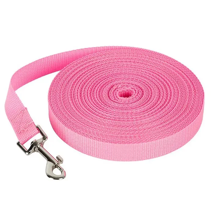 Laisse solide pour chiens de grande taille, chiot, entraînement à la marche, corde de plomb, corde e