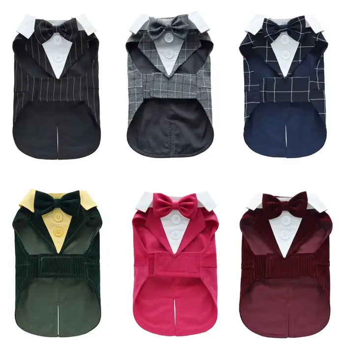 Costume de luxe pour petit chien mâle, de haute qualité, style queue de chien, pour Chihuahua, Malte