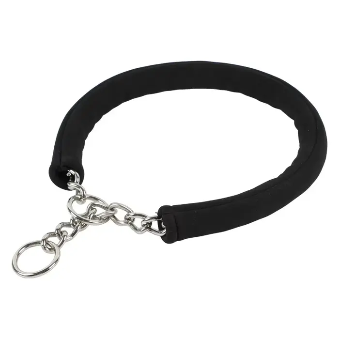 Collier pour chien en acier inoxydable, collier à chaîne P, collier d'entraînement pour chiens de pe