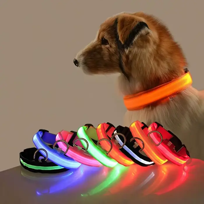 Laisse LED clignotante en nylon pour chien, sécurité nocturne, lueur dans le noir, collier de chien 