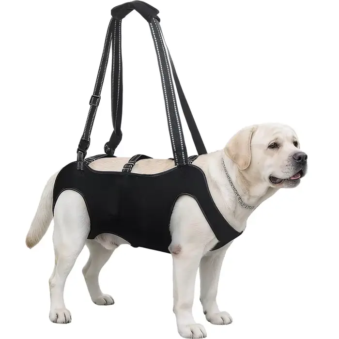 Harnais de levage pour chien avec poche, harnais complet pour chien avec poignée réglable |   Porte-