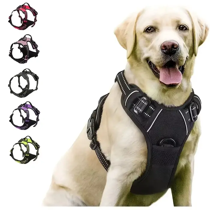 Clip avant de harnais sans traction para cão grande