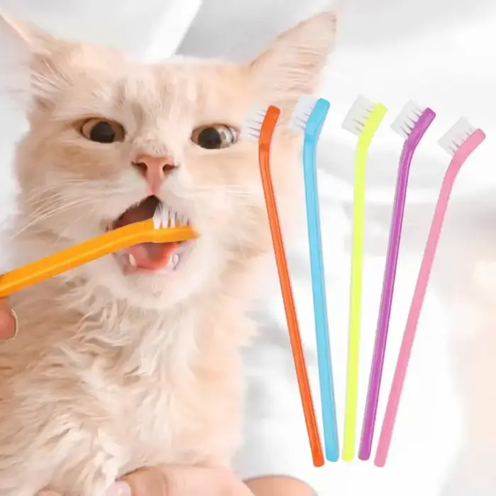 Brosse de nettoyage pour dents de chat et chien