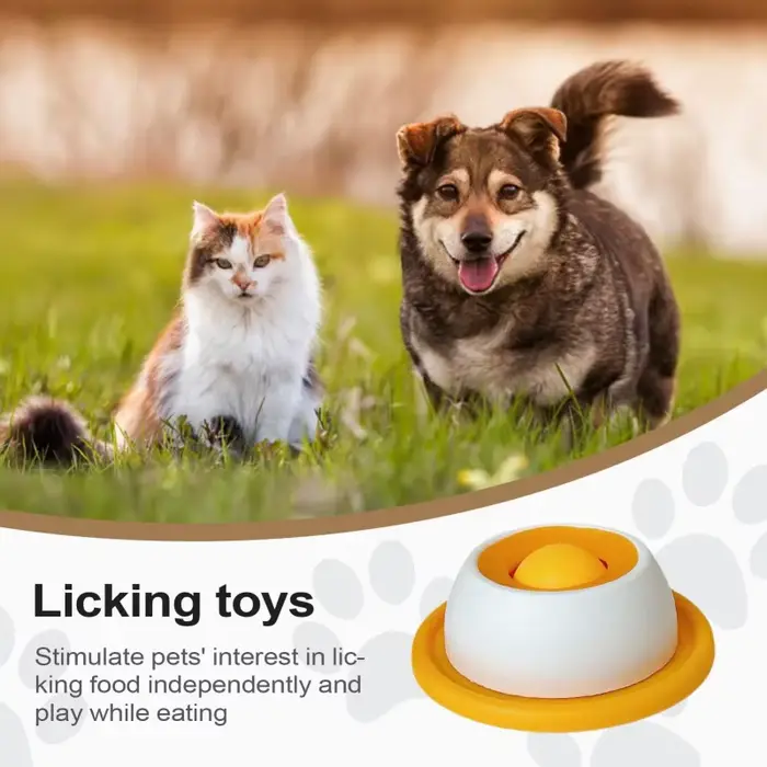 Jouets interactifs pour chiens