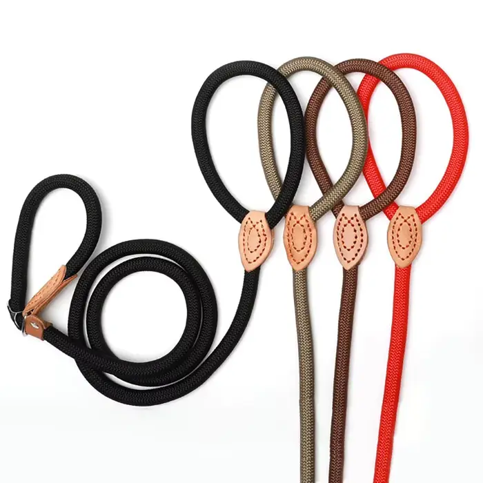 Laisse pour chien, corde antidérapante, laisse en plomb, tressée, robuste, collier à boucle réglable