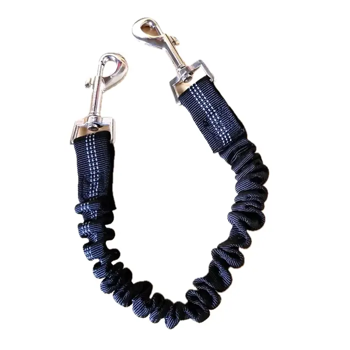 Laisse élastique pour chien, corde d'extension, Double Clips, harnais en Nylon tampon, 2.5cm de larg